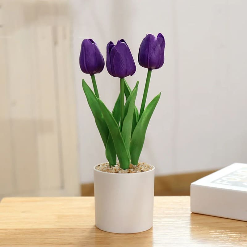 Tulipes en Pot