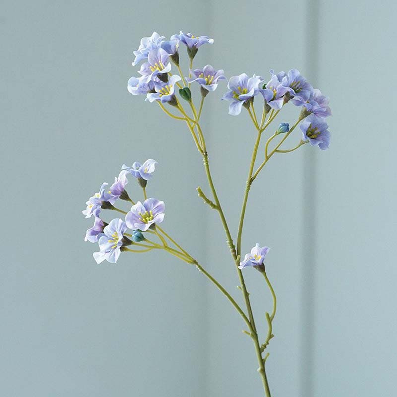 *Vernicia Fordii - Huile Végétale Bio 100% Pure* devient *Vernicia Fordii*