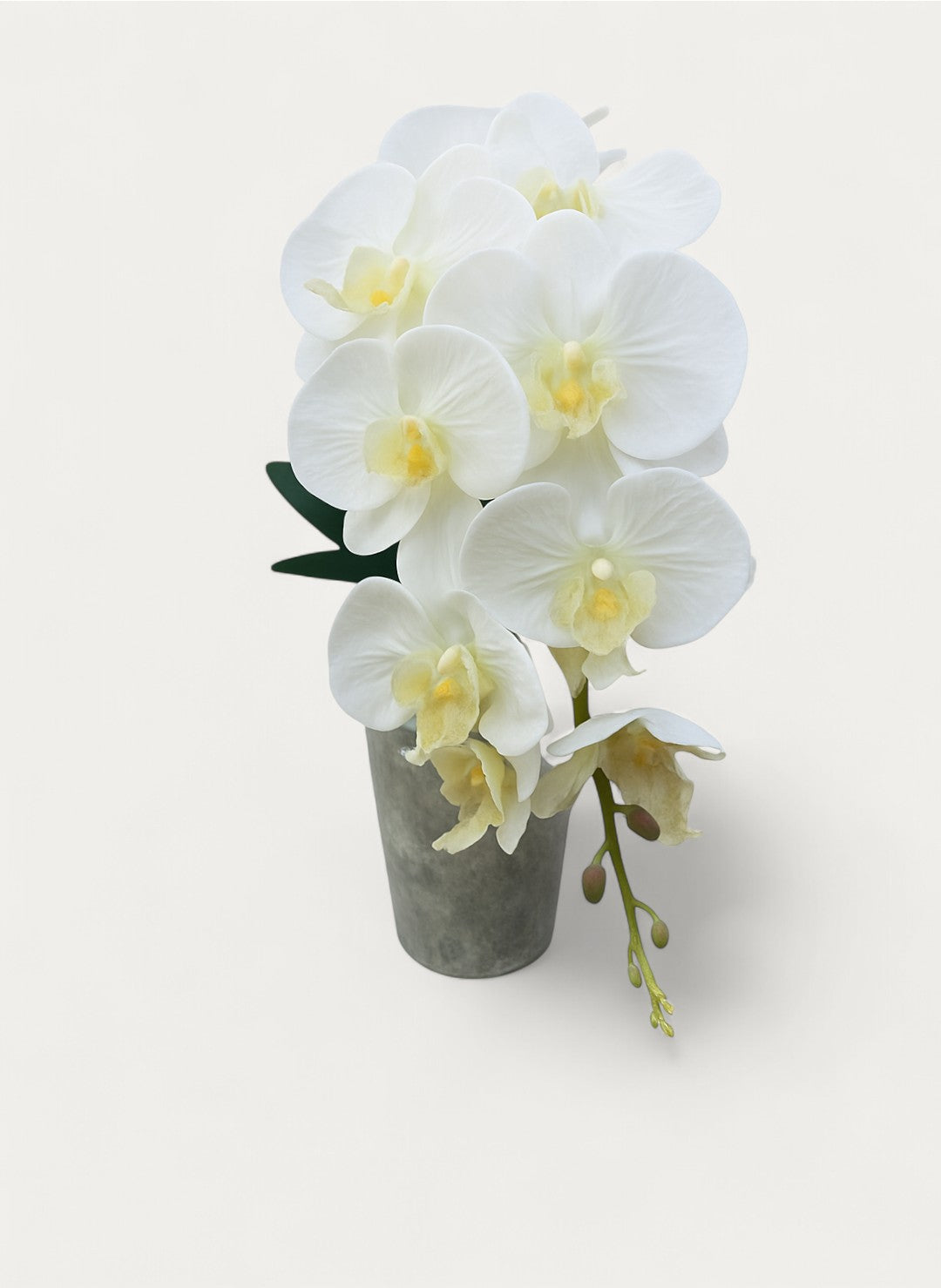 Orchidées Artificielles Haut de Gamme en Soie