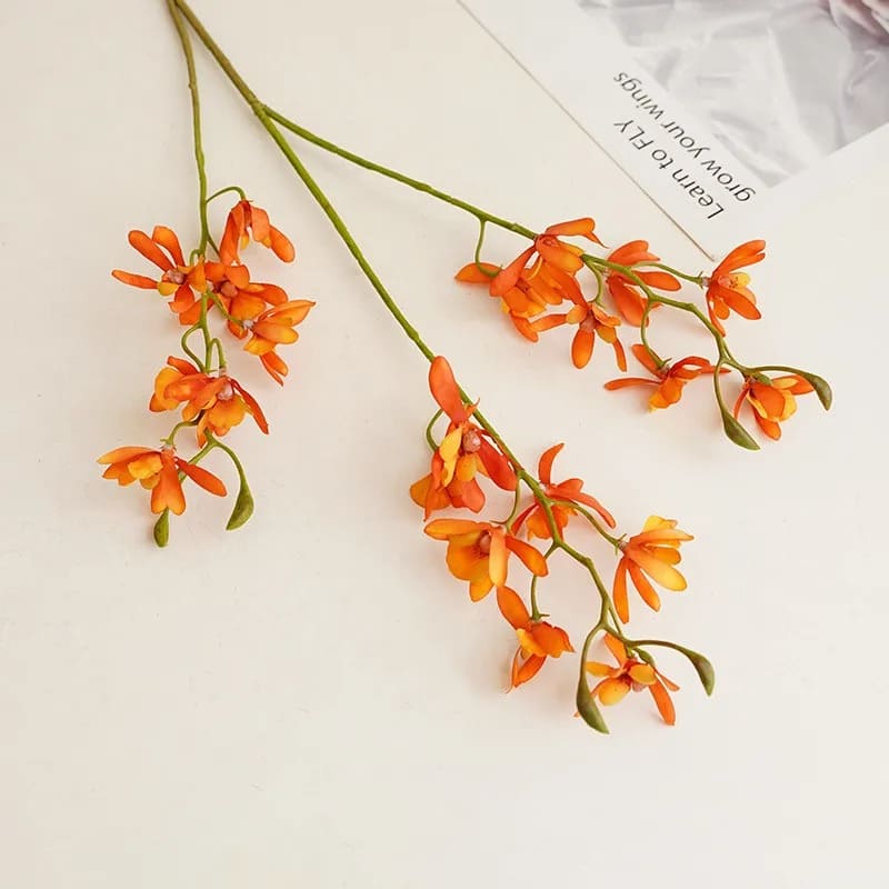 Cymbidium Floribundum