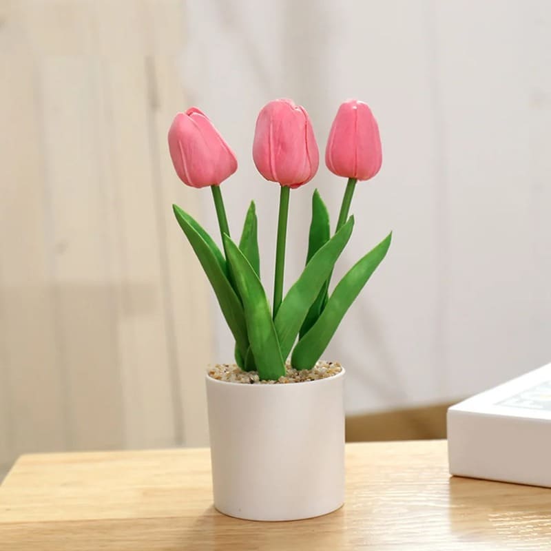 Tulipes en Pot