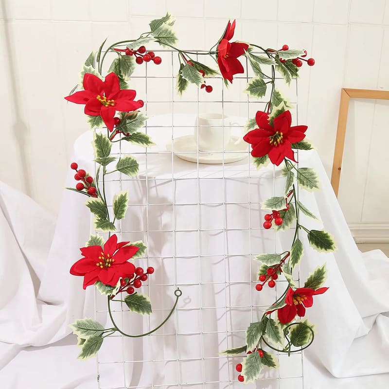 Étoile de Noël en Fleur Rouge