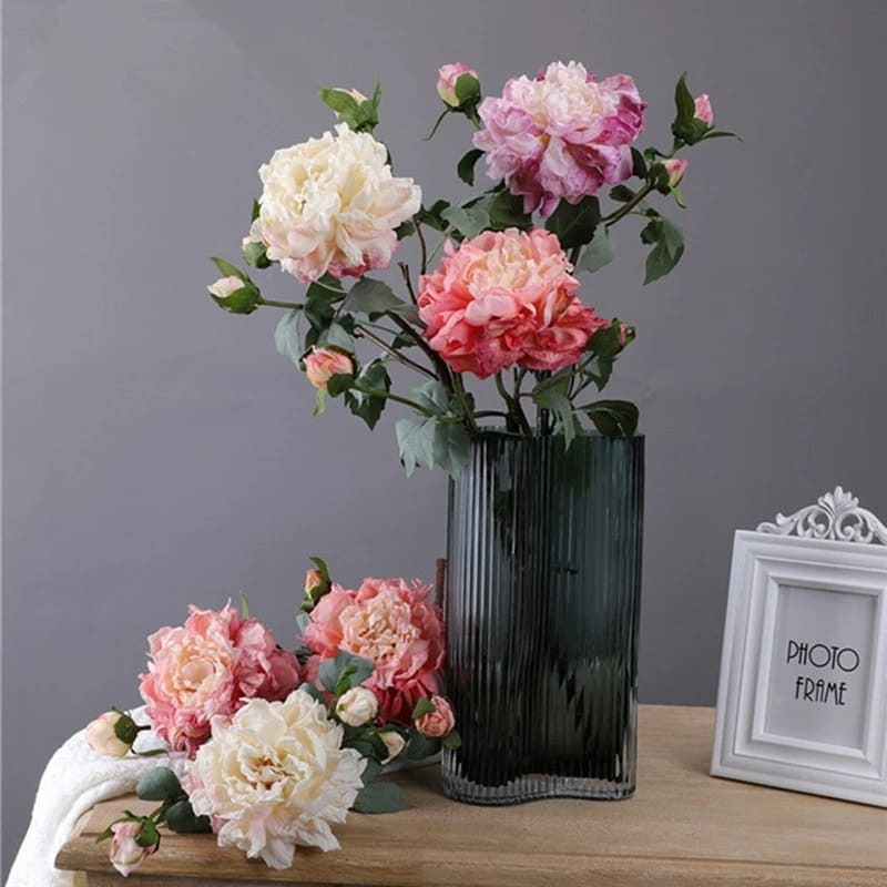 Pivoines Arbustives.