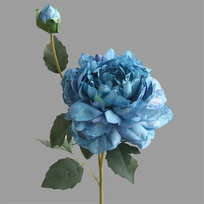 Pivoines Arbustives.