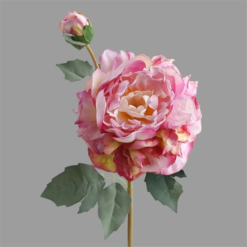 Pivoines Arbustives.