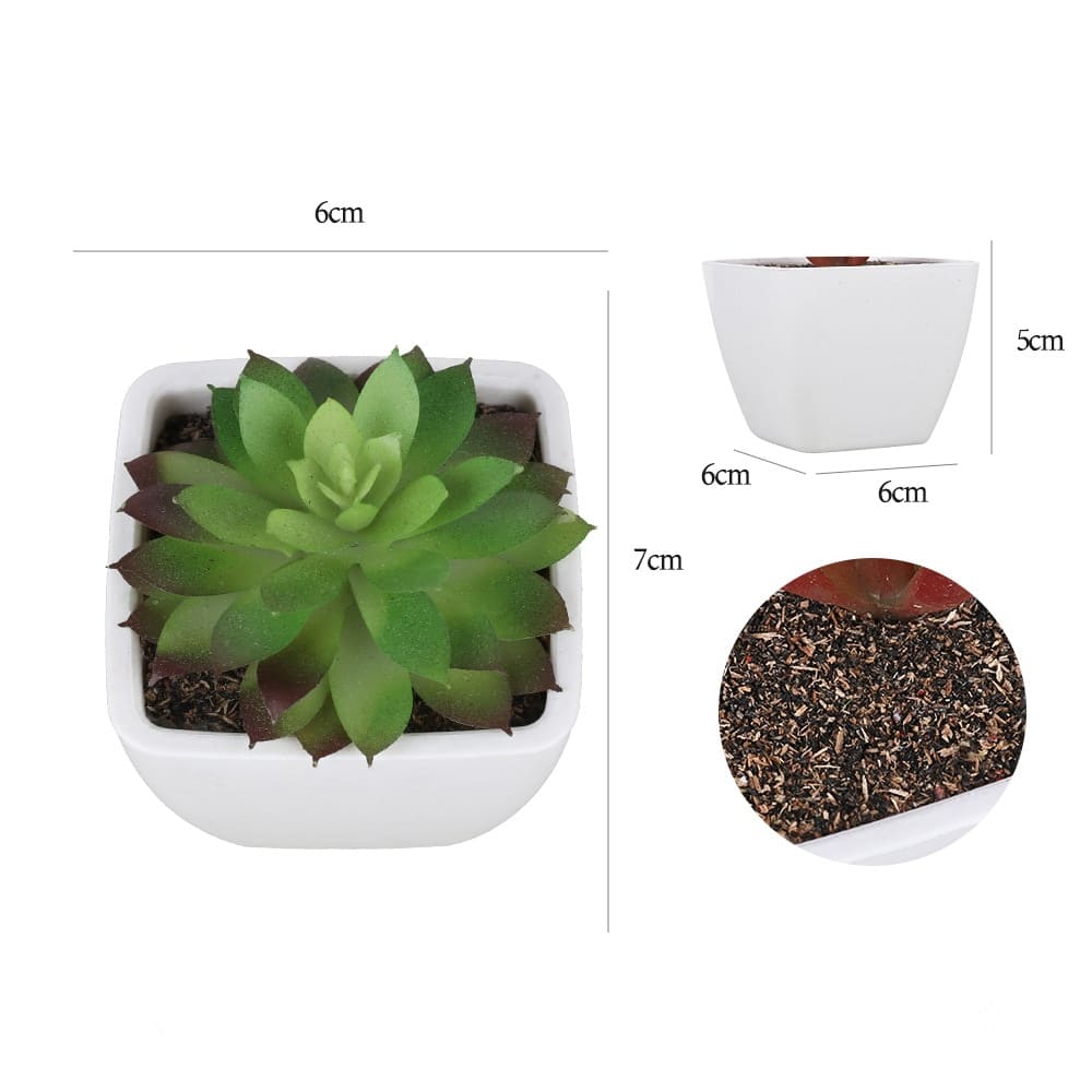 Succulentes Artificielles de Qualité Premium
