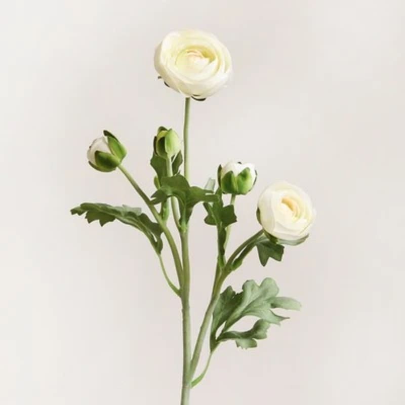 Renoncules Artificielles