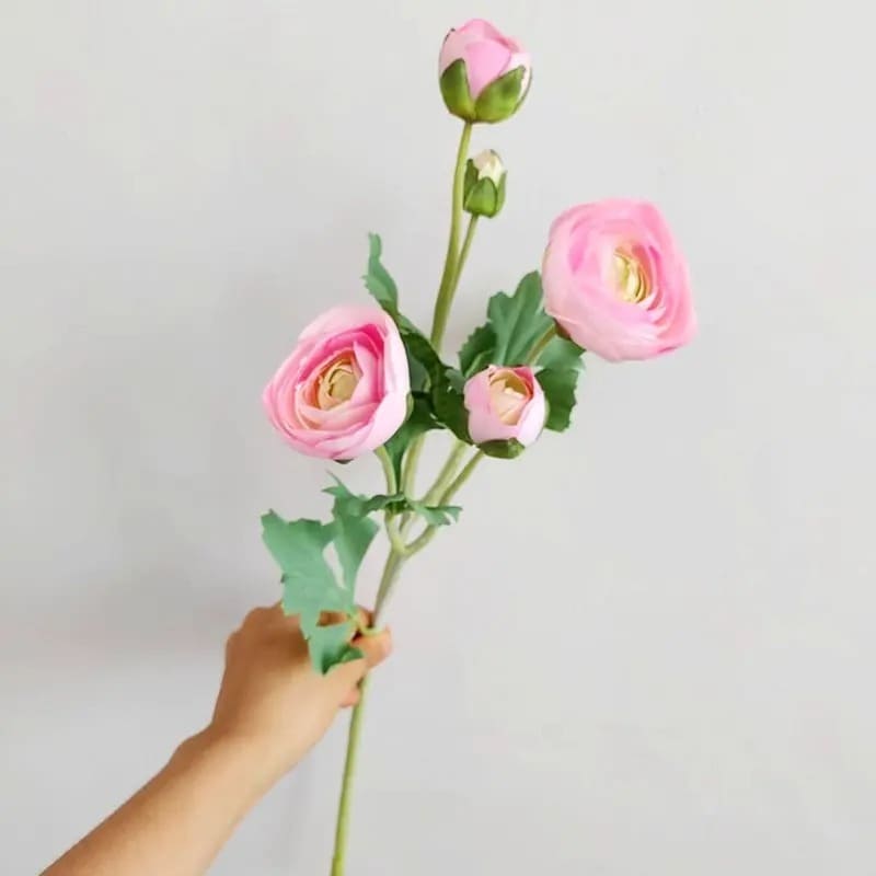 Renoncules Artificielles