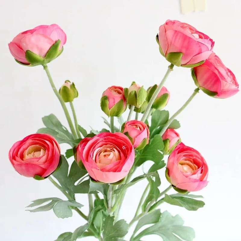 Renoncules Artificielles