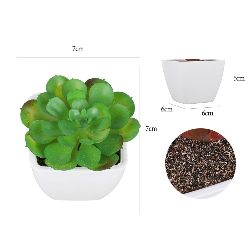 Succulentes Artificielles de Qualité Premium