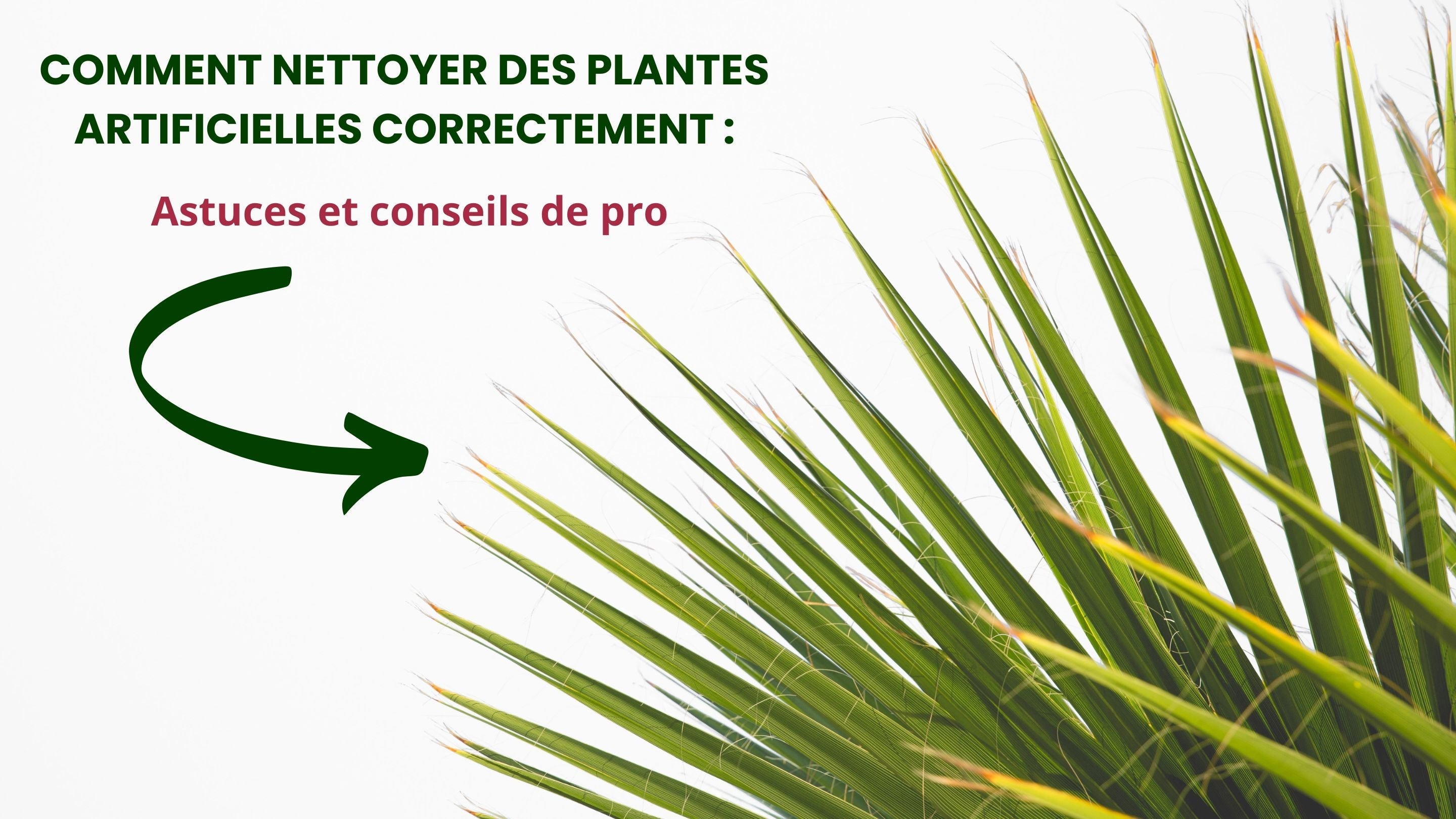 Comment nettoyer des plantes artificielles correctement 