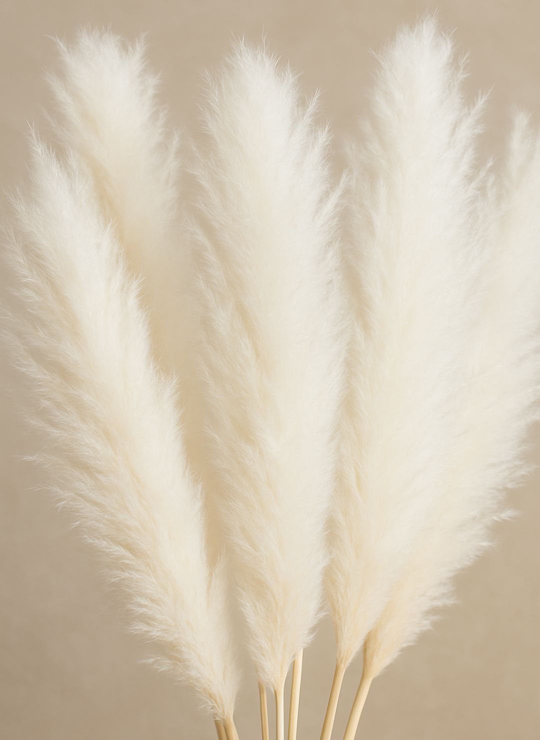 Grande Pampa Artificielle 80cm
