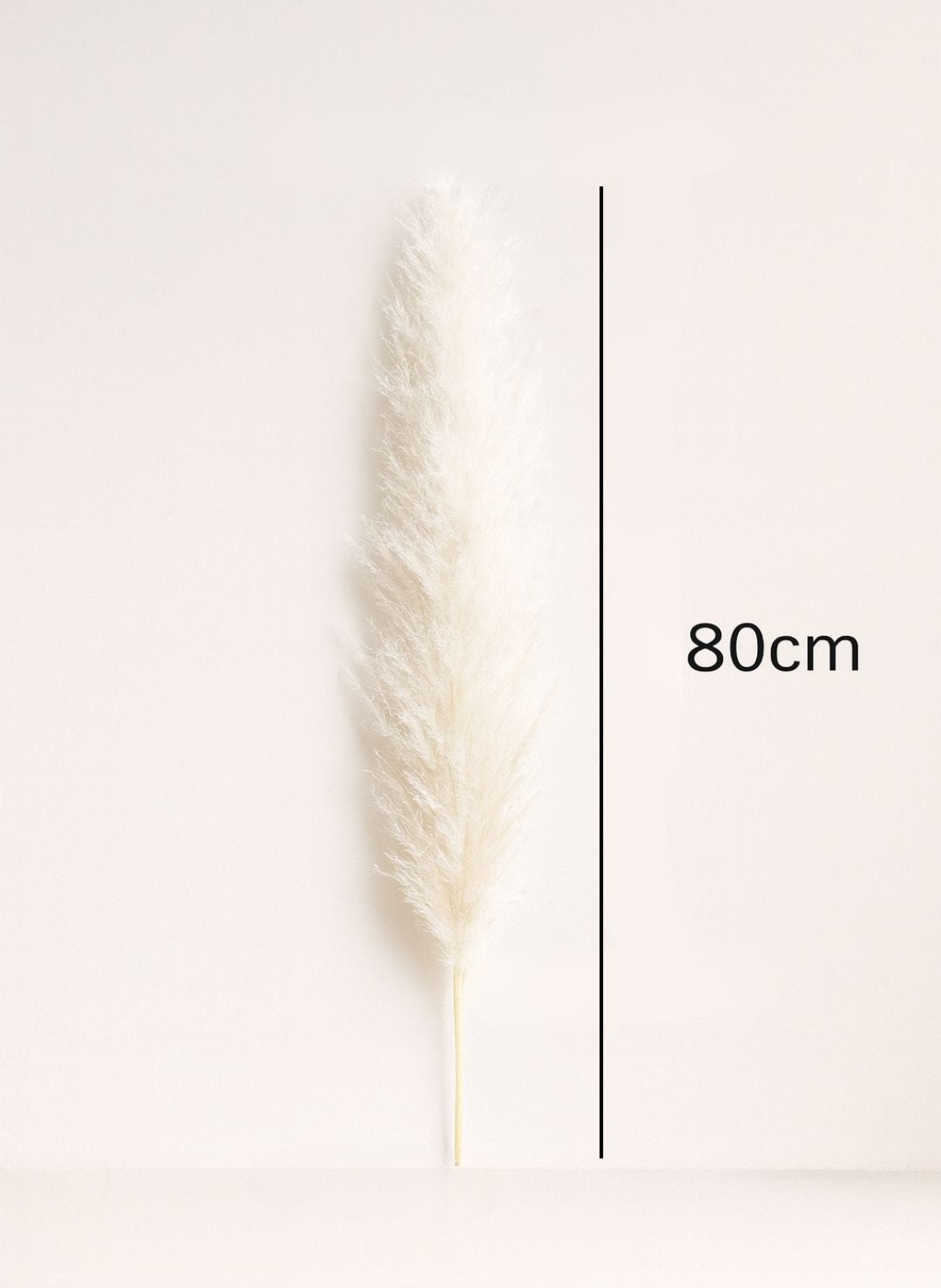 Grande Pampa Artificielle Colorée 80 cm