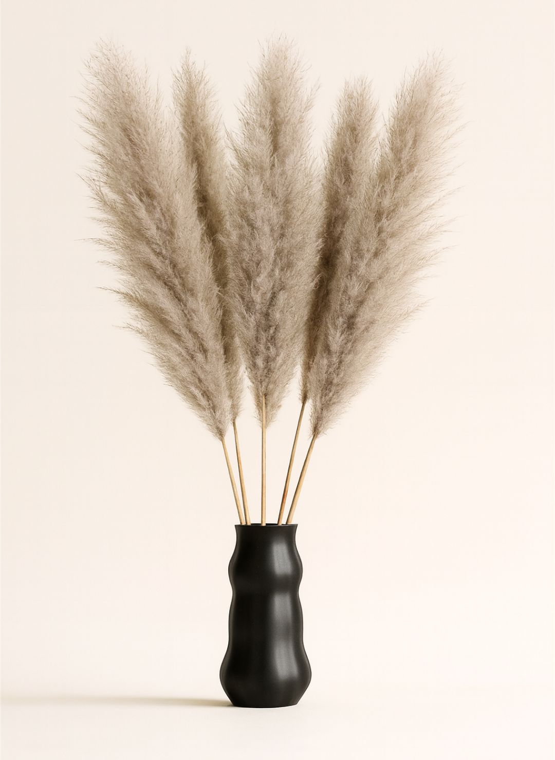 Grande Pampa Artificielle Colorée 80 cm