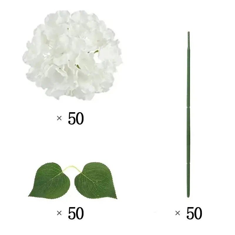 50 Hortensias Blancs pour Décoration de Mariage