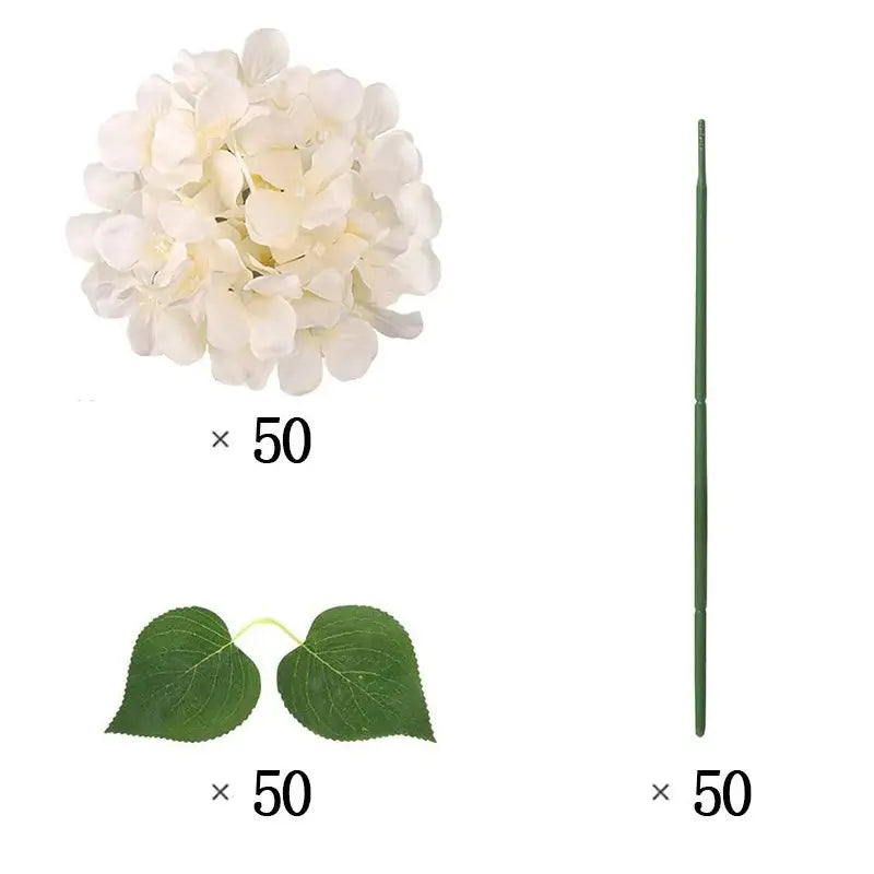 50 Hortensias Blancs pour Décoration de Mariage