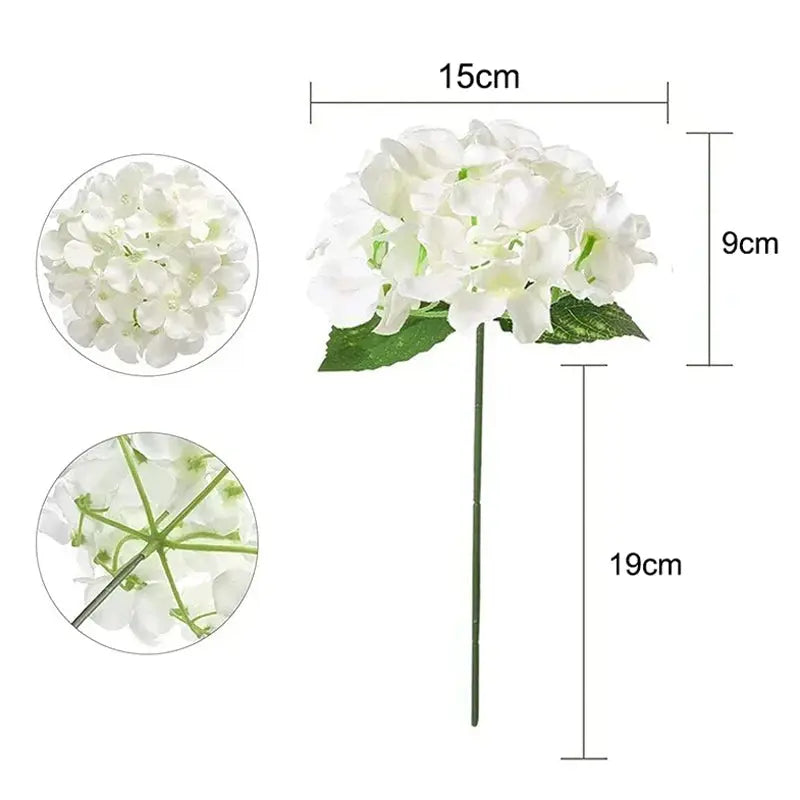 50 Hortensias Blancs pour Décoration de Mariage