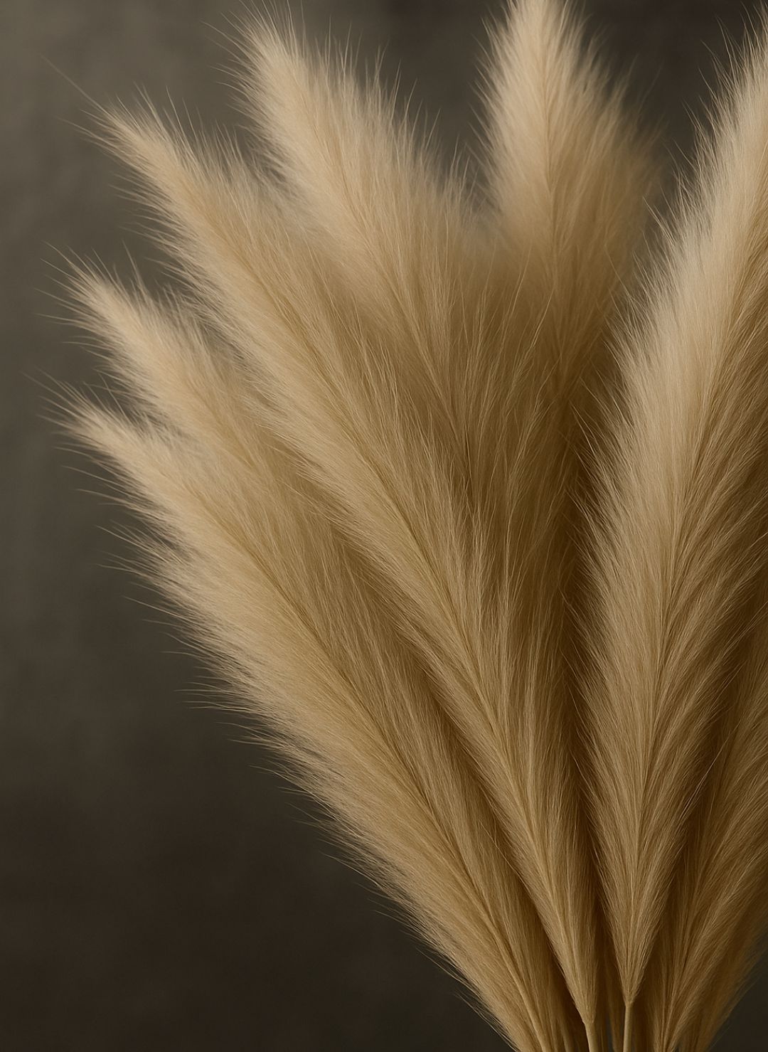 Grandes Fleurs de Pampa Artificielle 100cm