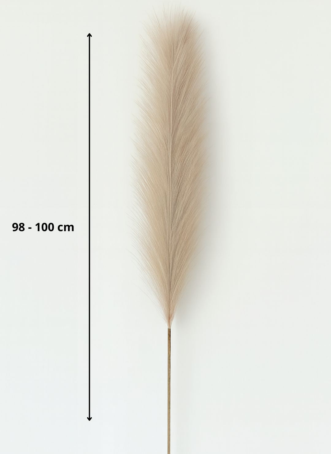 Grandes Fleurs de Pampa Artificielle 100cm