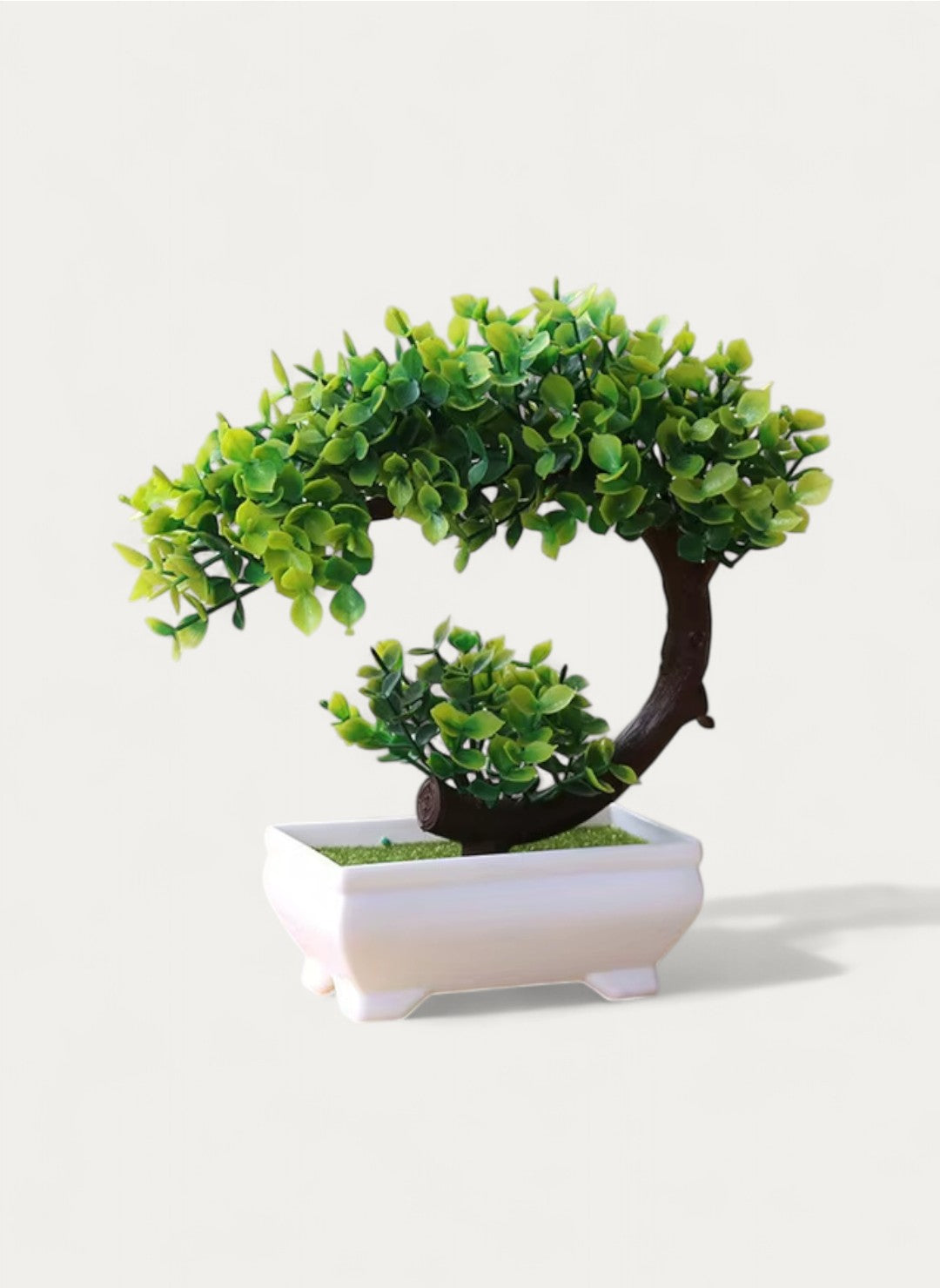 Petit Bonsaï Courbé 19cm