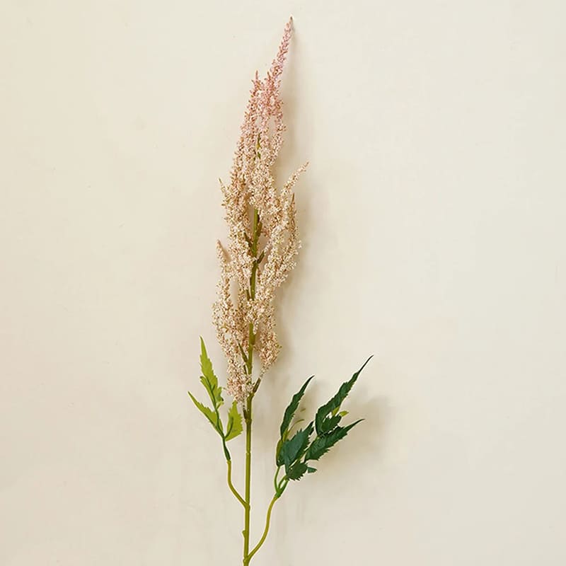 Astilbe de Chine Rouge en Pot