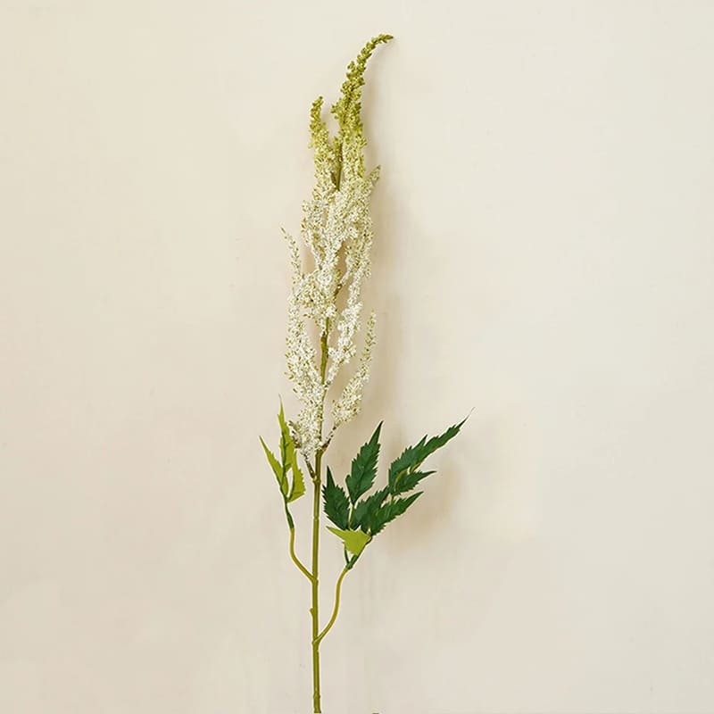 Astilbe de Chine Rouge en Pot