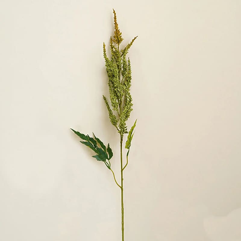 Astilbe de Chine Rouge en Pot