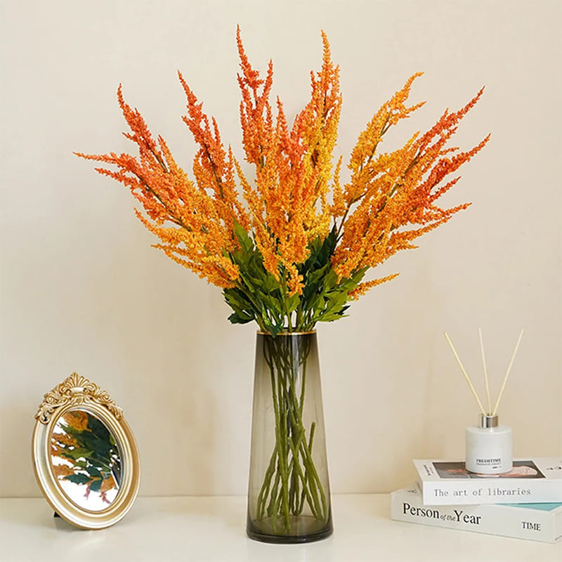 Astilbe de Chine Rouge en Pot