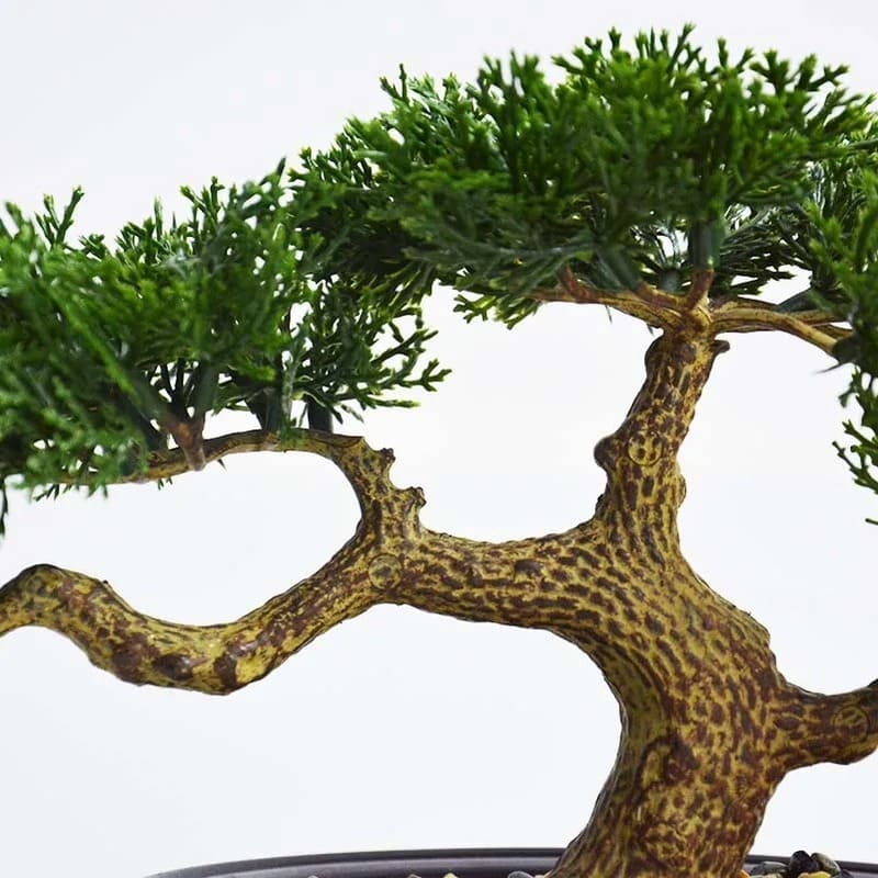 Bonsai Artificiel Cèdre du Japon 20cm