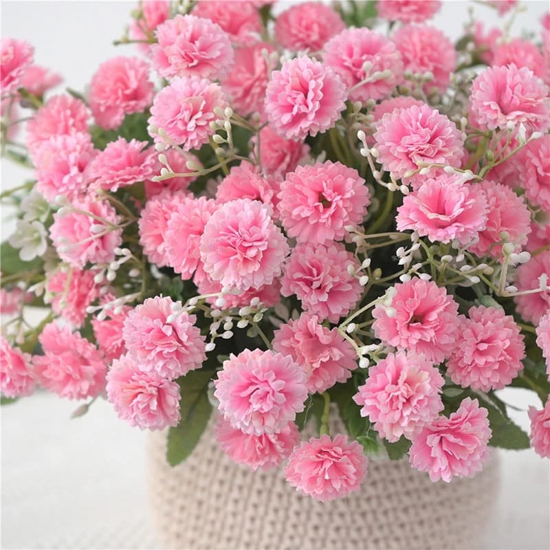 Bouquet d'Œillets Frais