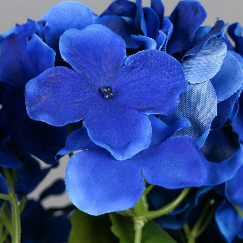 Bouquet d'Hortensia Blanc