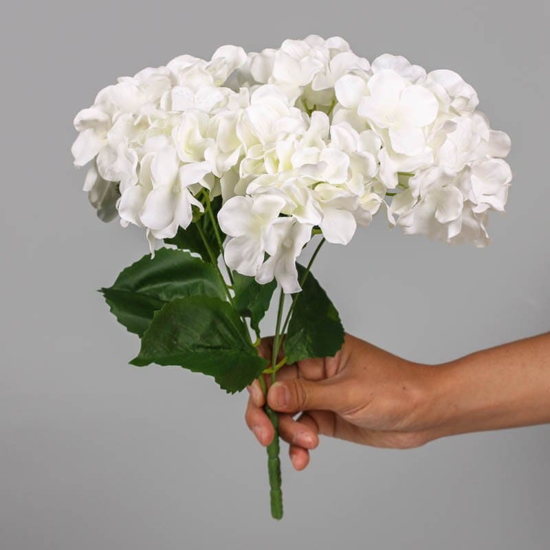 Bouquet d'Hortensia Blanc