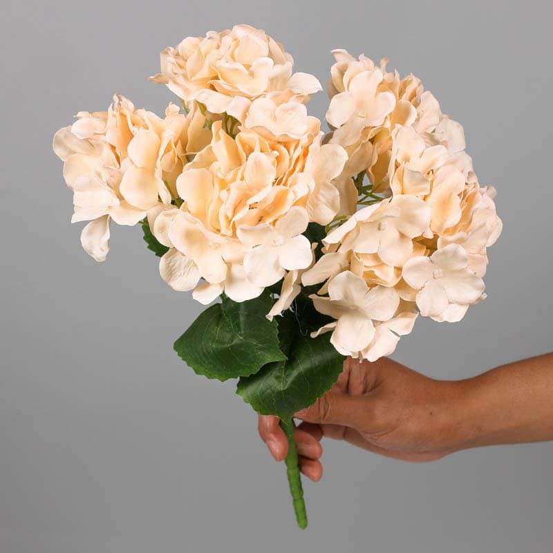 Bouquet d'Hortensia Blanc