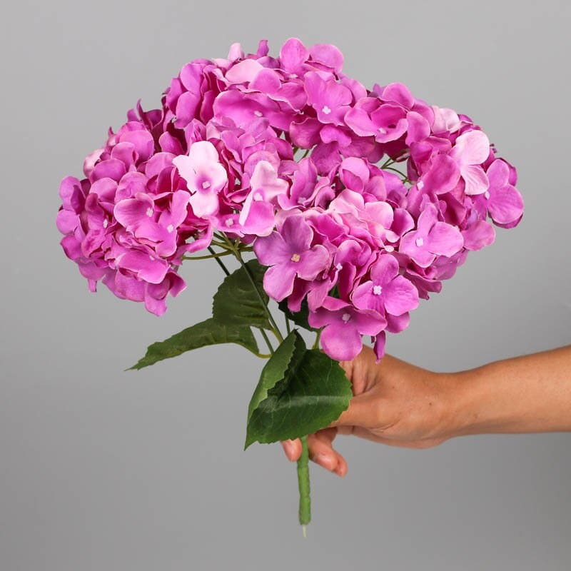 Bouquet d'Hortensia Blanc
