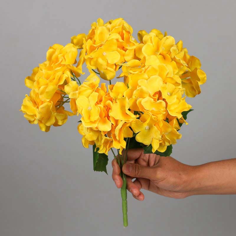 Bouquet d'Hortensia Blanc