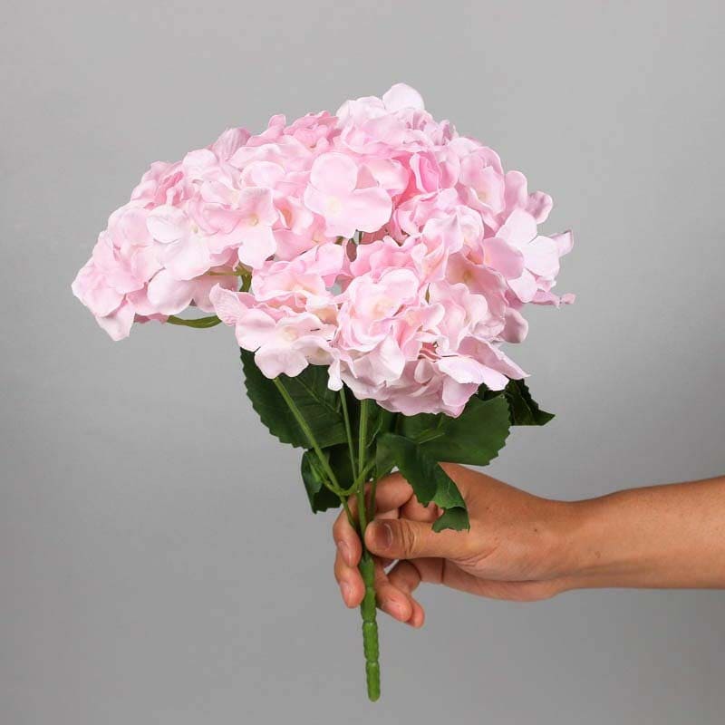 Bouquet d'Hortensia Blanc