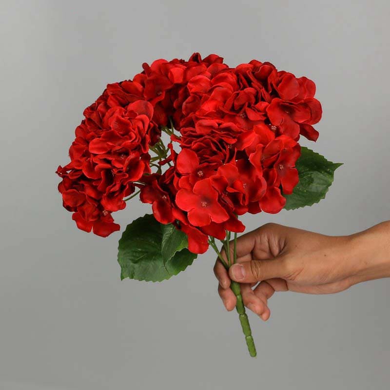 Bouquet d'Hortensia Blanc
