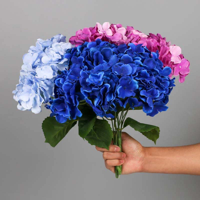 Bouquet d'Hortensia Blanc