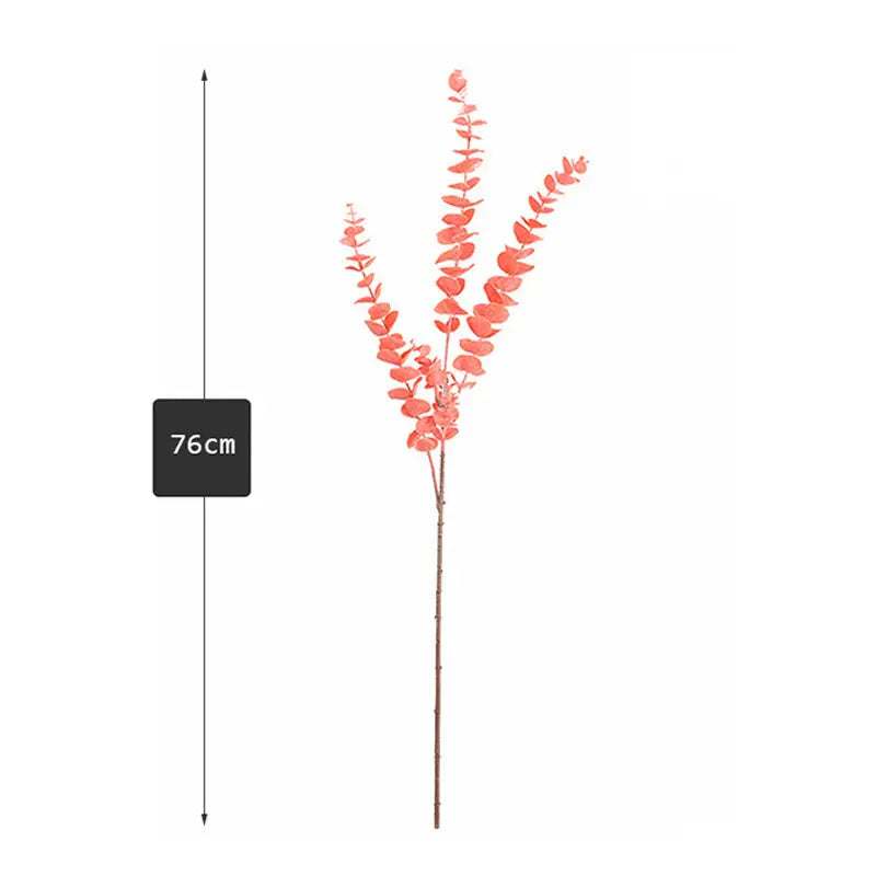 Branche d'Eucalyptus Fraîche - Décoration Intérieure Naturelle