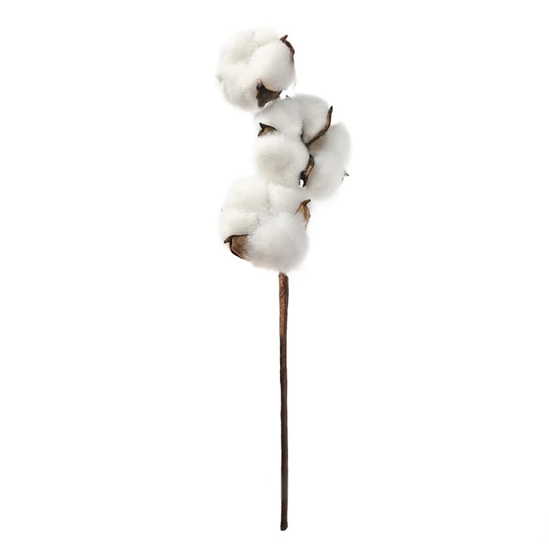 Branche de Coton Blanc Naturel 100% Pur