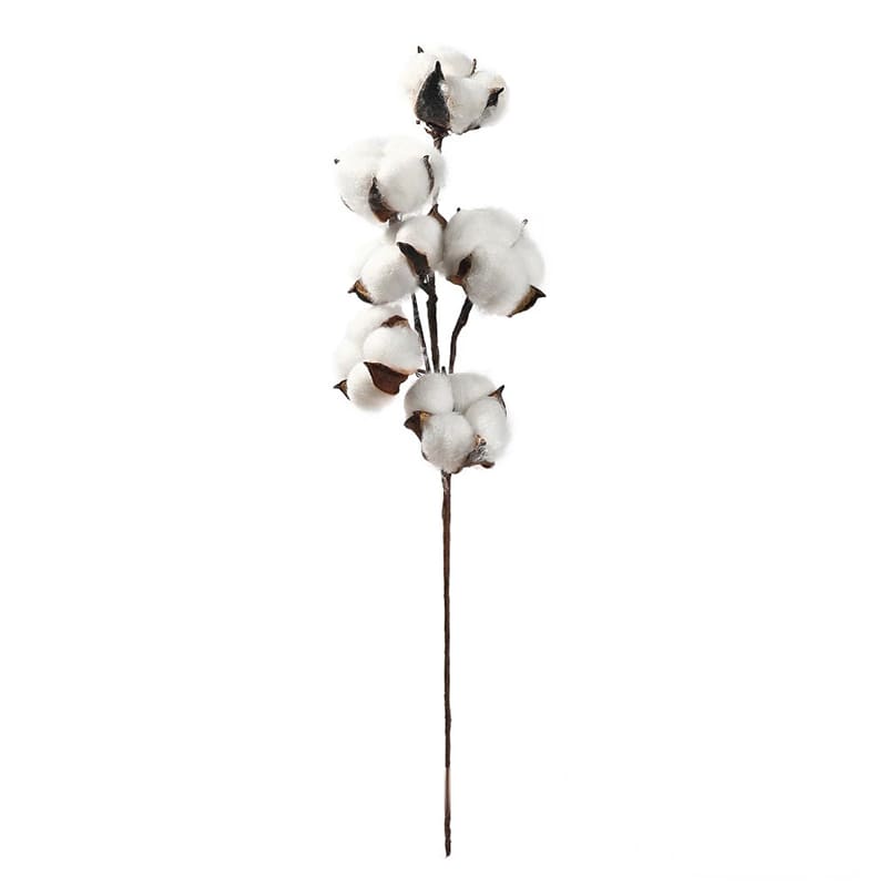 Branche de Coton Blanc Naturel 100% Pur