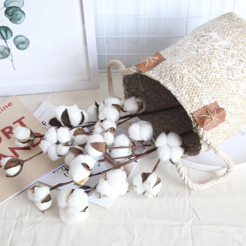 Branche de Coton Blanc Naturel 100% Pur