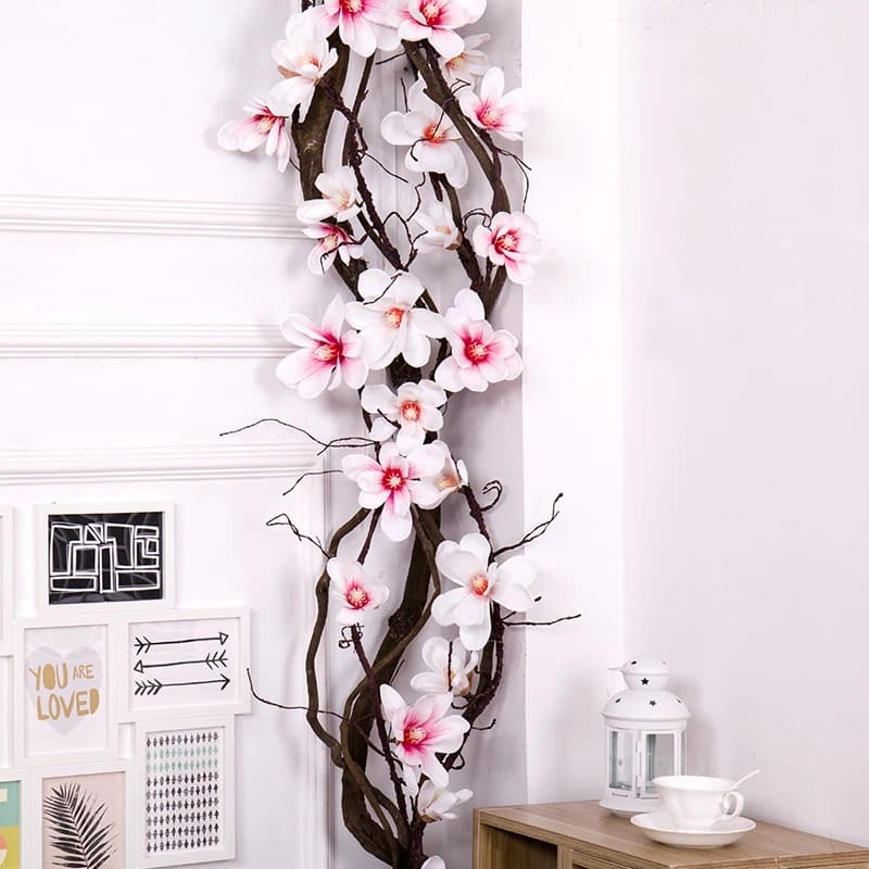 Branche de Magnolia.