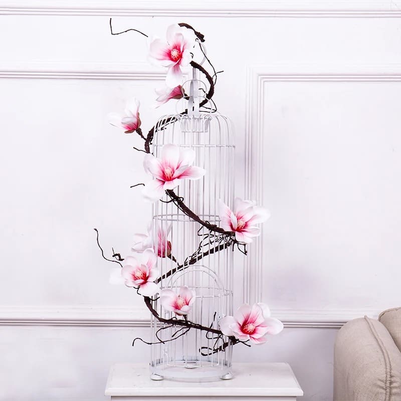 Branche de Magnolia.