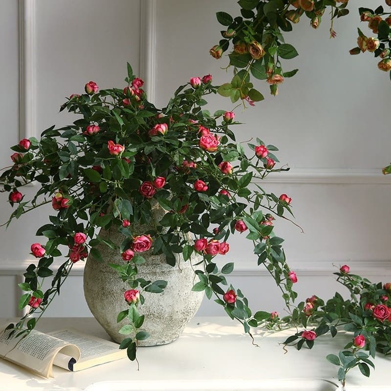 Branche de Rose