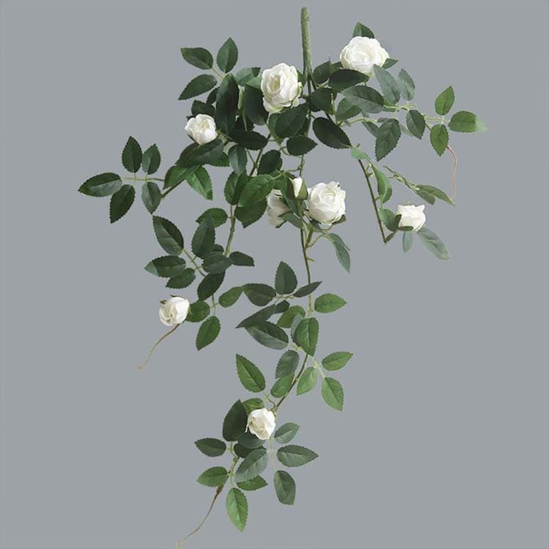 Branche de Rose