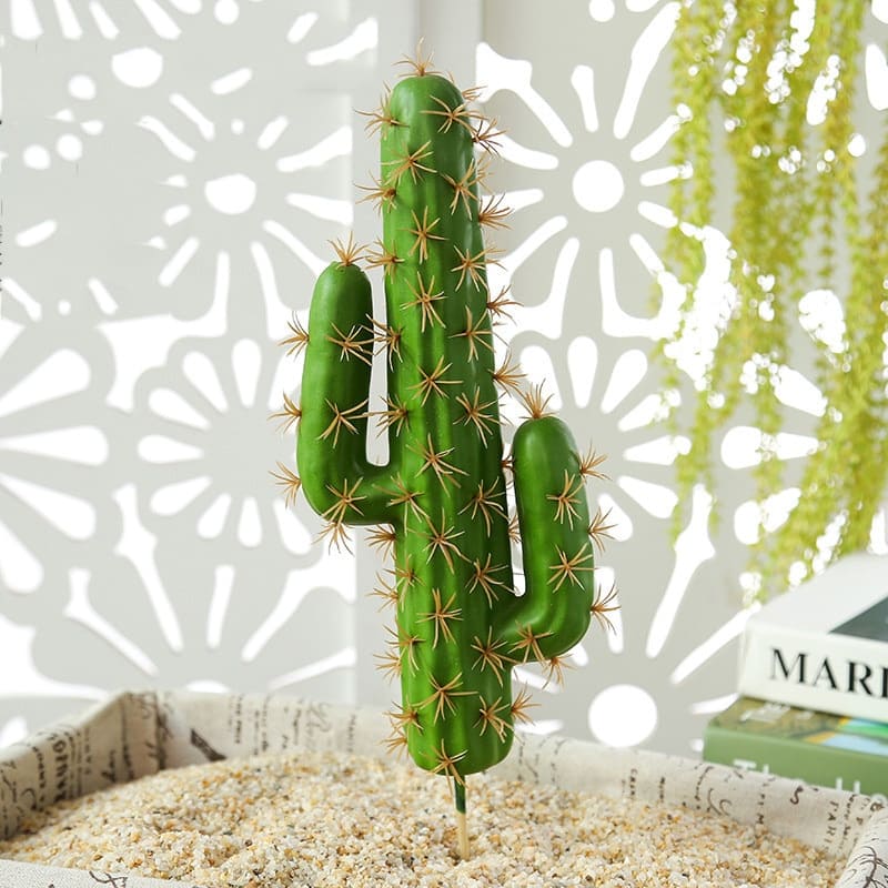 Cactus Déco Intérieur