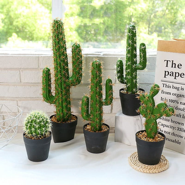 Cactus Déco Intérieur Artificiel
