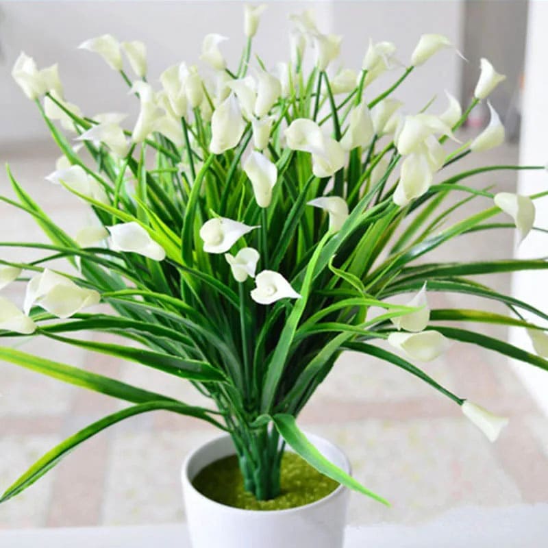 Callas Artificiels Luxe Blanc