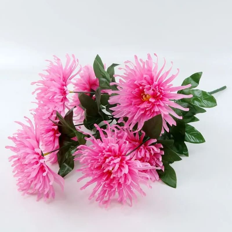 Chrysanthemum Orchid Helen
